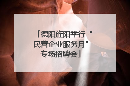 德阳旌阳举行“民营企业服务月”专场招聘会