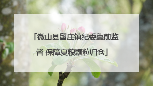 微山县留庄镇纪委靠前监督 保障夏粮颗粒归仓