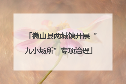 微山县两城镇开展“九小场所”专项治理