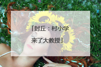 封丘：村小学来了大教授