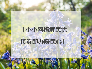 小小网格解民忧 接诉即办暖民心