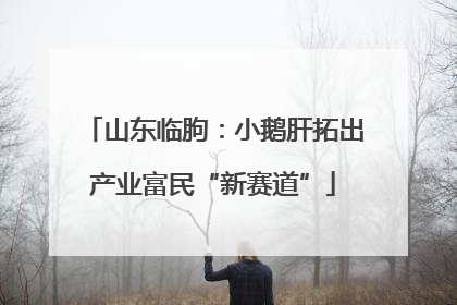 山东临朐：小鹅肝拓出产业富民“新赛道”