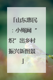 山东惠民：小绳网“织”出乡村振兴新图景
