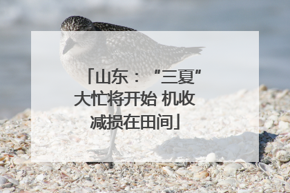 山东：“三夏”大忙将开始 机收减损在田间