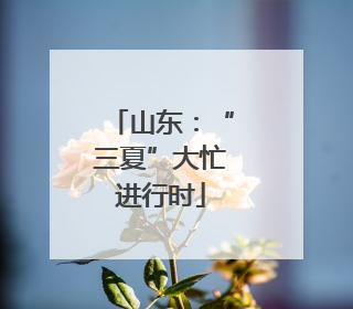 山东：“三夏”大忙进行时