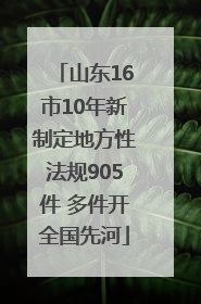 山东16市10年新制定地方性法规905件 多件开全国先河
