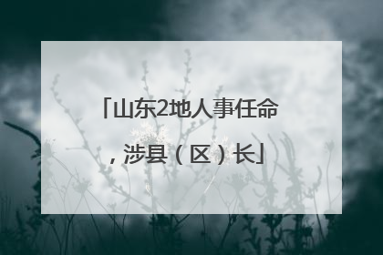 山东2地人事任命，涉县（区）长