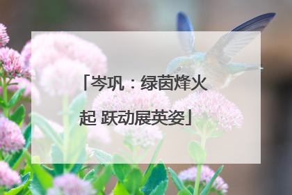 岑巩：绿茵烽火起 跃动展英姿
