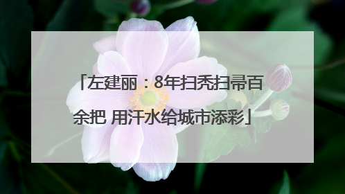 左建丽：8年扫秃扫帚百余把 用汗水给城市添彩