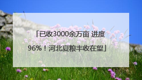 已收3000余万亩 进度96%！河北夏粮丰收在望