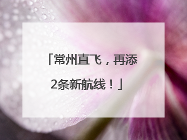 常州直飞，再添2条新航线！
