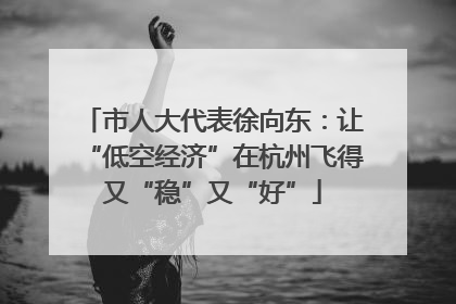 市人大代表徐向东：让“低空经济”在杭州飞得又“稳”又“好”