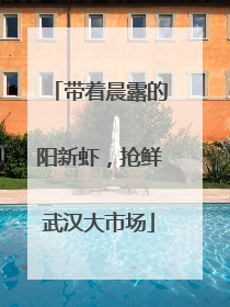 带着晨露的阳新虾，抢鲜武汉大市场