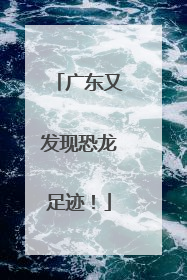 广东又发现恐龙足迹！