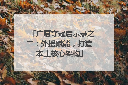 广厦夺冠启示录之二：外援赋能，打造本土核心架构