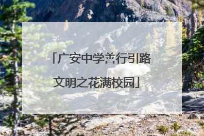 广安中学善行引路 文明之花满校园