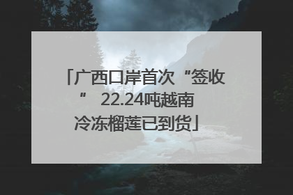 广西口岸首次“签收” 22.24吨越南冷冻榴莲已到货