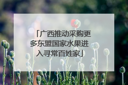 广西推动采购更多东盟国家水果进入寻常百姓家