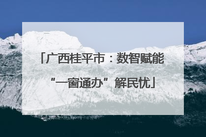 广西桂平市：数智赋能“一窗通办”解民忧