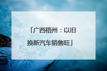 广西梧州：以旧换新汽车销售旺