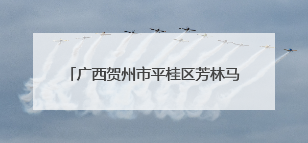 广西贺州市平桂区芳林马蹄专场推介会走进哈尔滨