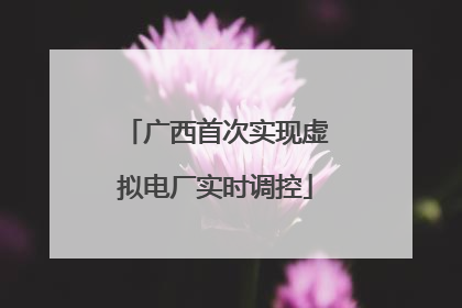 广西首次实现虚拟电厂实时调控