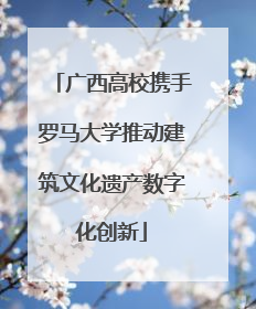 广西高校携手罗马大学推动建筑文化遗产数字化创新