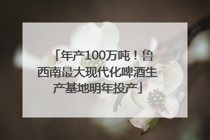 年产100万吨！鲁西南最大现代化啤酒生产基地明年投产