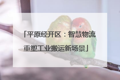 平原经开区：智慧物流重塑工业搬运新场景