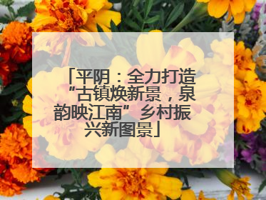 平阴：全力打造“古镇焕新景，泉韵映江南”乡村振兴新图景