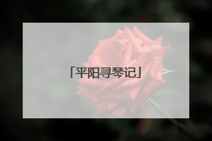 平阳寻琴记