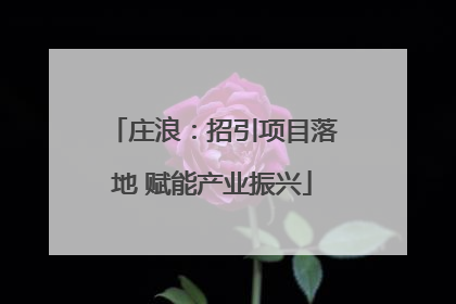 庄浪：招引项目落地 赋能产业振兴