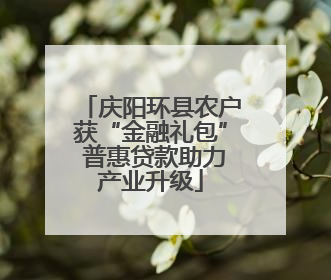 庆阳环县农户获“金融礼包” 普惠贷款助力产业升级