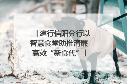 建行信阳分行以智慧食堂助推清廉高效“新食代”