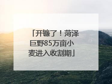 开镰了！菏泽巨野85万亩小麦进入收割期