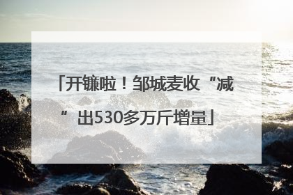 开镰啦！邹城麦收“减”出530多万斤增量