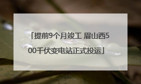 提前9个月竣工 眉山西500千伏变电站正式投运