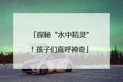 探秘“水中精灵”！孩子们直呼神奇
