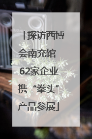探访西博会南充馆 62家企业携“拳头”产品参展