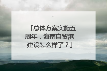 总体方案实施五周年，海南自贸港建设怎么样了？