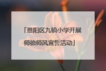 恩阳区九镇小学开展师德师风宣誓活动