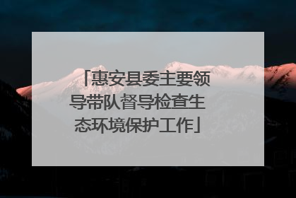 惠安县委主要领导带队督导检查生态环境保护工作