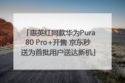 惠英红同款华为Pura 80 Pro+开售 京东秒送为首批用户送达新机