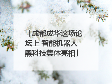 成都成华这场论坛上 智能机器人黑科技集体亮相
