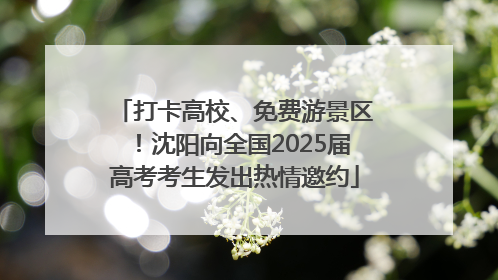 打卡高校、免费游景区！沈阳向全国2025届高考考生发出热情邀约