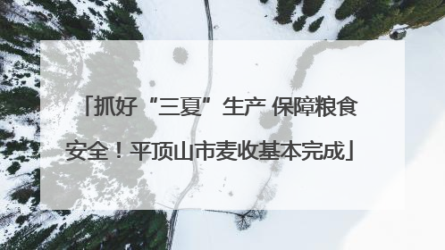 抓好“三夏”生产 保障粮食安全！平顶山市麦收基本完成