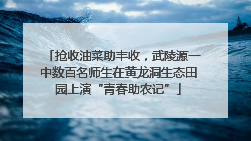 抢收油菜助丰收，武陵源一中数百名师生在黄龙洞生态田园上演“青春助农记”