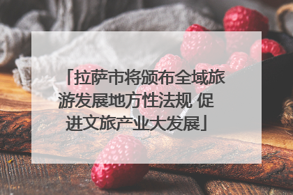 拉萨市将颁布全域旅游发展地方性法规 促进文旅产业大发展
