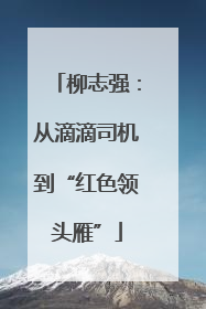 柳志强：从滴滴司机到“红色领头雁”