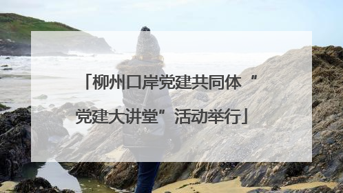 柳州口岸党建共同体“党建大讲堂”活动举行